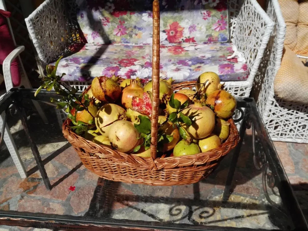 Arti Vila 卡萨米尔 度假居