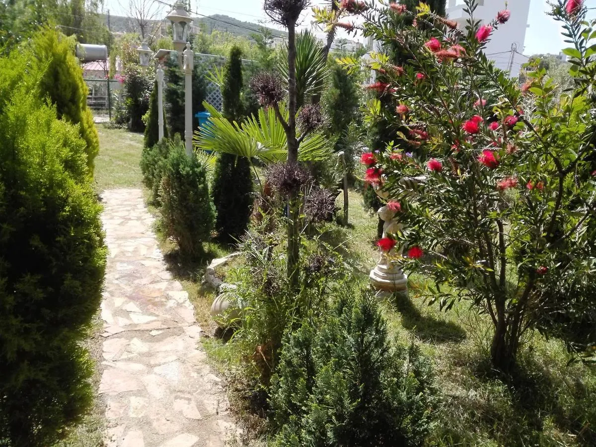 度假居 Arti Vila 卡萨米尔