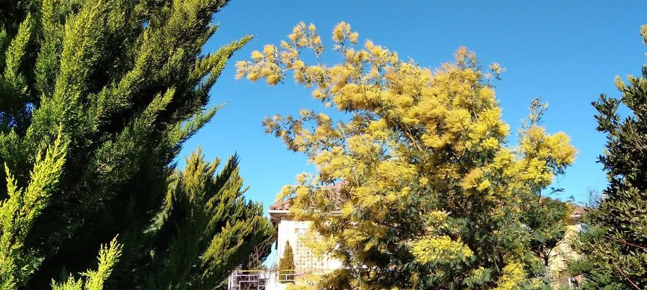 Сasa de vacaciones Arti Vila Ksamil