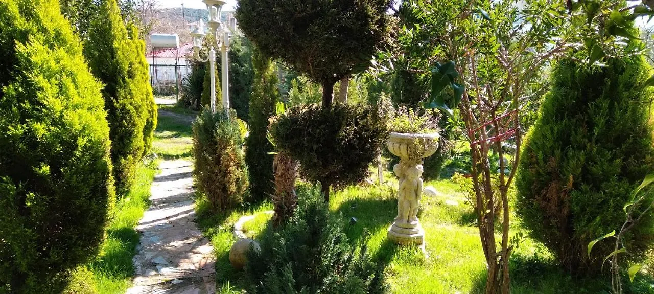 Arti Vila Ksamil Albania