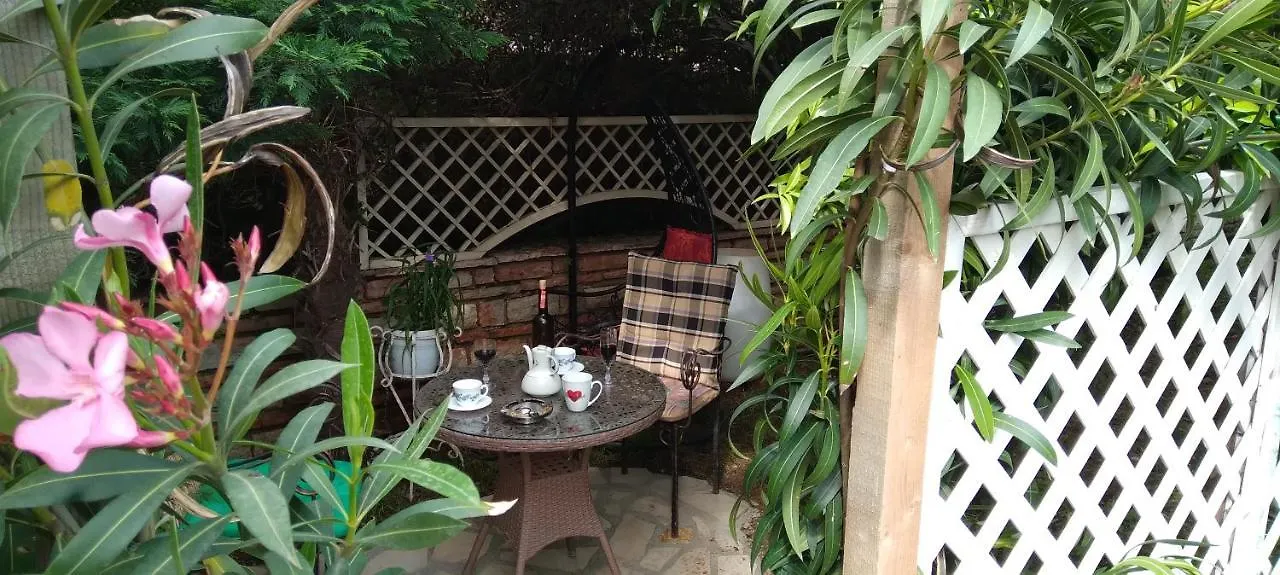 Arti Vila 卡萨米尔