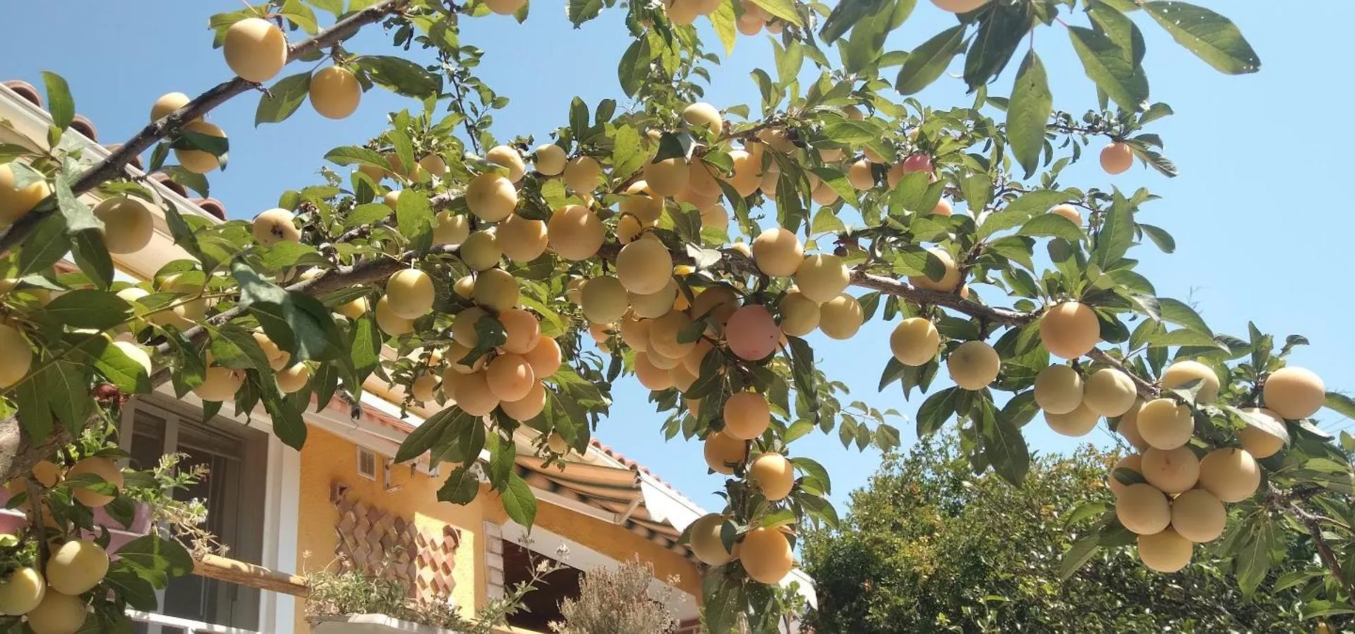 Сasa de vacaciones Arti Vila Ksamil Albania
