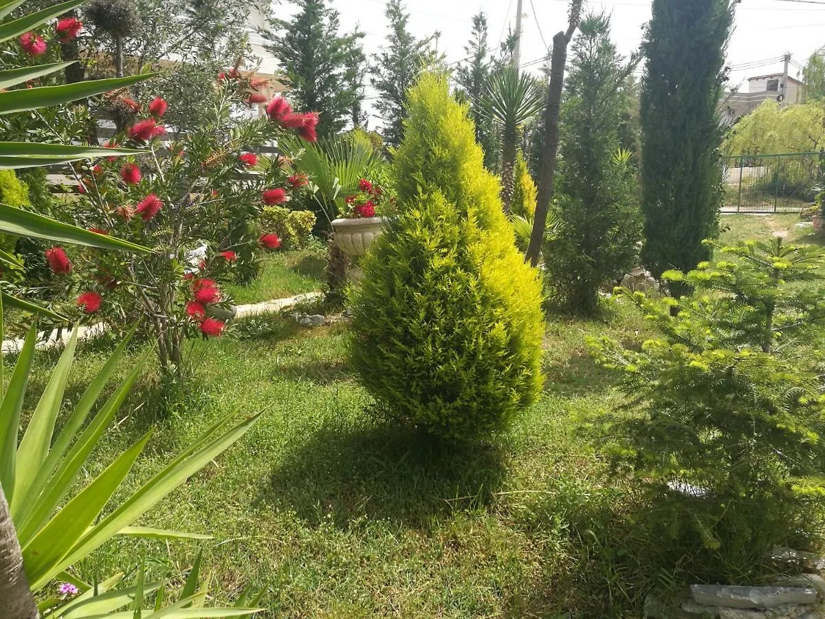 Arti Vila Ksamil Albania