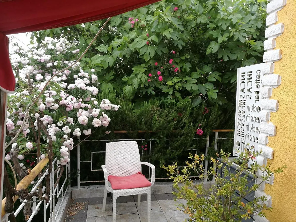 Arti Vila 卡萨米尔 度假居